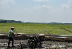 PUPR Jombang Siapkan Rp300 Juta untuk Penyusunan RTRW, Pengesahan Perda Diproyeksikan 2029