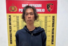 Kalungkan Pisau ke Leher Korban, Perampok Toko Sembako Digagalkan Warga Driyorejo Gresik