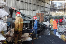 Akibat Percikan Mesin Tungku, Gudang Arang di Manyar Gresik Terbakar