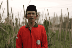 Program MBG Presiden Prabowo Sukses Dongkrak Pendapatan Petani Boyolali Hingga 60 Persen