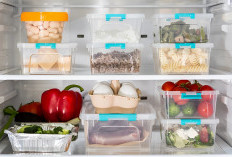 Tips Menata Kulkas Mini agar Muat Banyak dan Bahan Makanan Tetap Awet