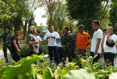 Bukan Sekadar Taman, JAPFA Sulap Taman Pintar Juanda Jadi Laboratorium Pertanian Regeneratif