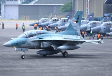 Hari Jadi TNI AU 9 April, Ini Sejarah dan Perkembangannya