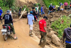 Hujan Berjam-jam Picu Longsor di Mulyorejo Jember, Jalan Utama Sempat Lumpuh