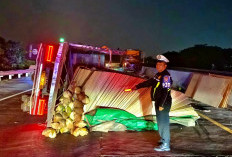 Truk Triplek Terguling di Tol Gempas, Bus Hantam Muatan yang Tumpah
