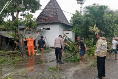 Gerak Cepat Polisi Ngawi Bantu Warga Terdampak Bencana Puting Beliung di Paron 