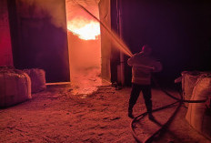 Damkar Gresik Catat Kinerja Tinggi di 2025, DPRD Soroti Fasilitas Petugas