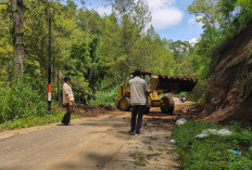 Hujan Deras Picu Longsor di Jalur Pujon Kidul-Sukomulyo, Separuh Jalan Tertutup Material