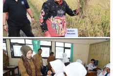 Panen Penghargaan di Tahun Pertama, Sanusi-Lathifah Mantapkan Visi Malang Makmur Berkelanjutan