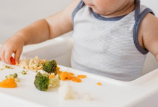 Apa Itu BLW? Metode MPASI yang Bikin Bayi Belajar Makan Sendiri Sejak Awal