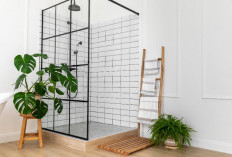 Rekomendasi Tanaman Hias untuk Mempercantik Kamar Mandi agar Lebih Segar dan Estetis