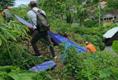 Infrastruktur Jember Lumpuh di 27 Titik Pascabencana, BPBD Tetapkan Kemuning Lor Status Prioritas Utama