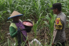Bhabinkamtibmas Desa Kawengan Dukung Pemanfaatan Lahan Perhutani untuk Ketahanan Pangan