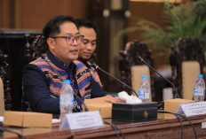 PRIMA KI Jadi Basis Data, Kemenkum Jatim Dorong Raperda KI Kota Probolinggo Tepat Sasaran