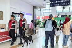 Daop 8 Surabaya Siagakan 12 Unit K9 Amankan Stasiun Selama Nataru