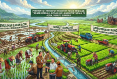 Ribuan Hektare Sawah di Lokasi Bencana Sumatera Kembali Ditanami, Sumbar Capai 98 Persen