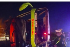Ban Pecah di Tol Jomo, Bus Restu Terguling dan Lumpuhkan Lalu Lintas, 1 Tewas, Belasan Luka