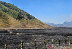 Menhut Serahkan Penyelidikan Karhutla Bromo kepada Aparat Penegak Hukum