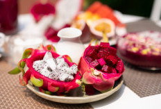 Buah Naga Bantu Atasi Sembelit, Ini Cara Kerja dan Hal Penting yang Perlu Diketahui