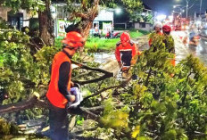 Cuaca Ekstrem Terjang 15 Kecamatan di Pasuruan, Satu Warga Luka Serius