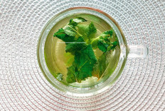 Manfaat Spearmint Tea untuk Kesehatan Perempuan, Benarkah Memiliki Banyak Manfaat?