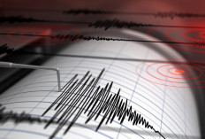 Gempa M 7,3 Guncang Bitung, Potensi Tsunami di Sulut dan Malut