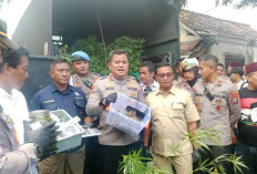 Polisi Gerebek Rumah Budidaya Ganja di Mojongapit Jombang