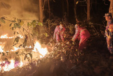 Kobaran Api Menerjang Gunung Watangan, 6,5 Hektare Lahan Hangus, Petugas Bertaruh Nyawa Tembus Tebing Terjal
