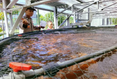 Dukung Ketahanan Pangan, Bhabinkamtibmas Jemur Wonosari Dampingi Budidaya 1.400 Ikan Nila Sistem RAS