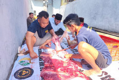 Berbagi Berkah Daging Kurban di Balik Jeruji, Wujud Kebersamaan Iduladha di Lapas Jember
