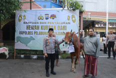 Polres Pelabuhan Tanjung Perak Salurkan Hewan Kurban pada Hari Raya Iduladha
