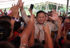 Dorong Konektivitas Pelosok, Pemerintah Salurkan Starlink dan Ponsel untuk Warga Miangas
