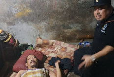 Temukan Penyintas Stroke 5 Tahun di Dukuh Pakis, Komisi D DPRD Surabaya Desak Layanan Kesehatan Proaktif