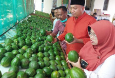  Mas Rio Apresiasi SGF, Lahan Bekas Banjir Bandang di Situbondo Disulap Menjadi Agropreneur
