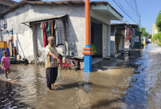 Hujan Deras Guyur Surabaya, Kawasan Semampir AWS Kebanjiran Akibat Luapan Kali Jagir