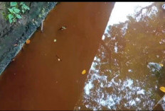 Diduga Cemari Sungai dan Tak Kantongi Amdal, PT Solusi Pangan Sejahtera Dikecam