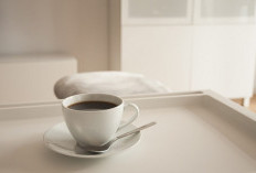 Jangan Kopi Mulu! Ini Dia Minuman Pagi Biar Nggak Gampang Ngantuk di Kantor