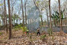 Daun Jati Kering Terbakar di Sutojayan Blitar, Anggota Polsek Lodoyo Timur Sigap Padamkan Api