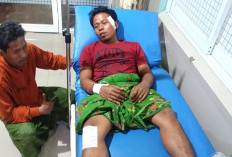 Pohon Tumbang Timpa Pengendara Motor Sekeluarga di Pasuruan, 4 Orang Terluka