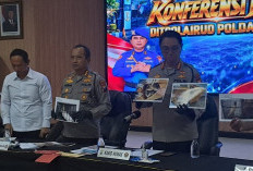 Tujuh Burung Dilindungi Diamankan dari Pelabuhan Probolinggo, Mualim Kapal Diperiksa