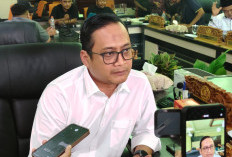 Perkara Asal-Usul Anak Meningkat di PA Surabaya, Cahyo Siswo Utomo: Negara Harus Hadir