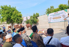 Iduladha 2026, Polres Ngawi Serahkan dan Salurkan 8 Ekor Sapi dan 30 Ekor Kambing untuk Masyarakat