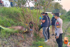 Misteri Wanita Tanpa Identitas di Jember, Ditemukan Tewas Mengenaskan dengan Wajah Hancur di Pinggir Rel KA