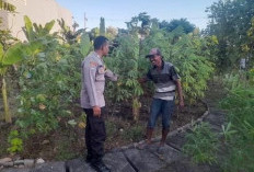 Dukung Ketahanan Pangan, Polsek Lakarsantri Dampingi Warga Lidah Wetan Manfaatkan Lahan Kosong