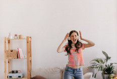 Cara Meredam Kebisingan Kendaraan di Rumah Hook dengan Teknik Soundproofing Alami