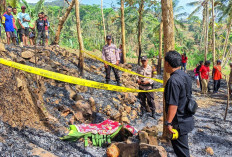 Nenek di Tulungagung Tewas Terbakar saat Bakar Sampah di Ladang