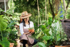 Tak Perlu Liburan Mahal, Gardening di Rumah Bisa Jadi Terapi Anti Stres