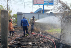 Bakar Alang-alang, Gubuk di Tepi Jalan Raya Benjeng Gresik Ludes Terbakar
