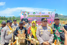 Wujud Nyata Kepedulian, Polsek Wuluhan Dampingi Petani Sukseskan Panen Raya di Tanah Kas Desa
