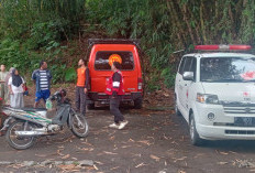 Misteri Hilangnya Buyang di Arus Garahan, PMI Jember dan Tim Gabungan Berpacu dengan Waktu